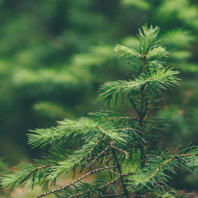 Latest News for September 1st, 2019 | CNAS Theme Documentation