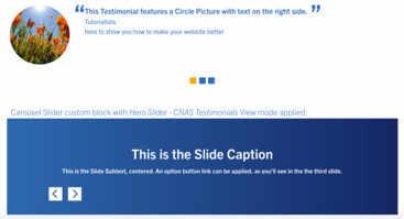 examples of Testimonial Slider custom block